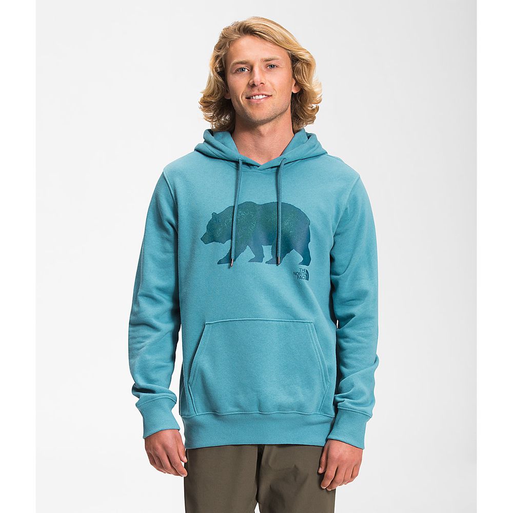 The North Face Hoodie Mens Australia - The North Face Tnf™ Bear Pullover Blue (RPW-987236)